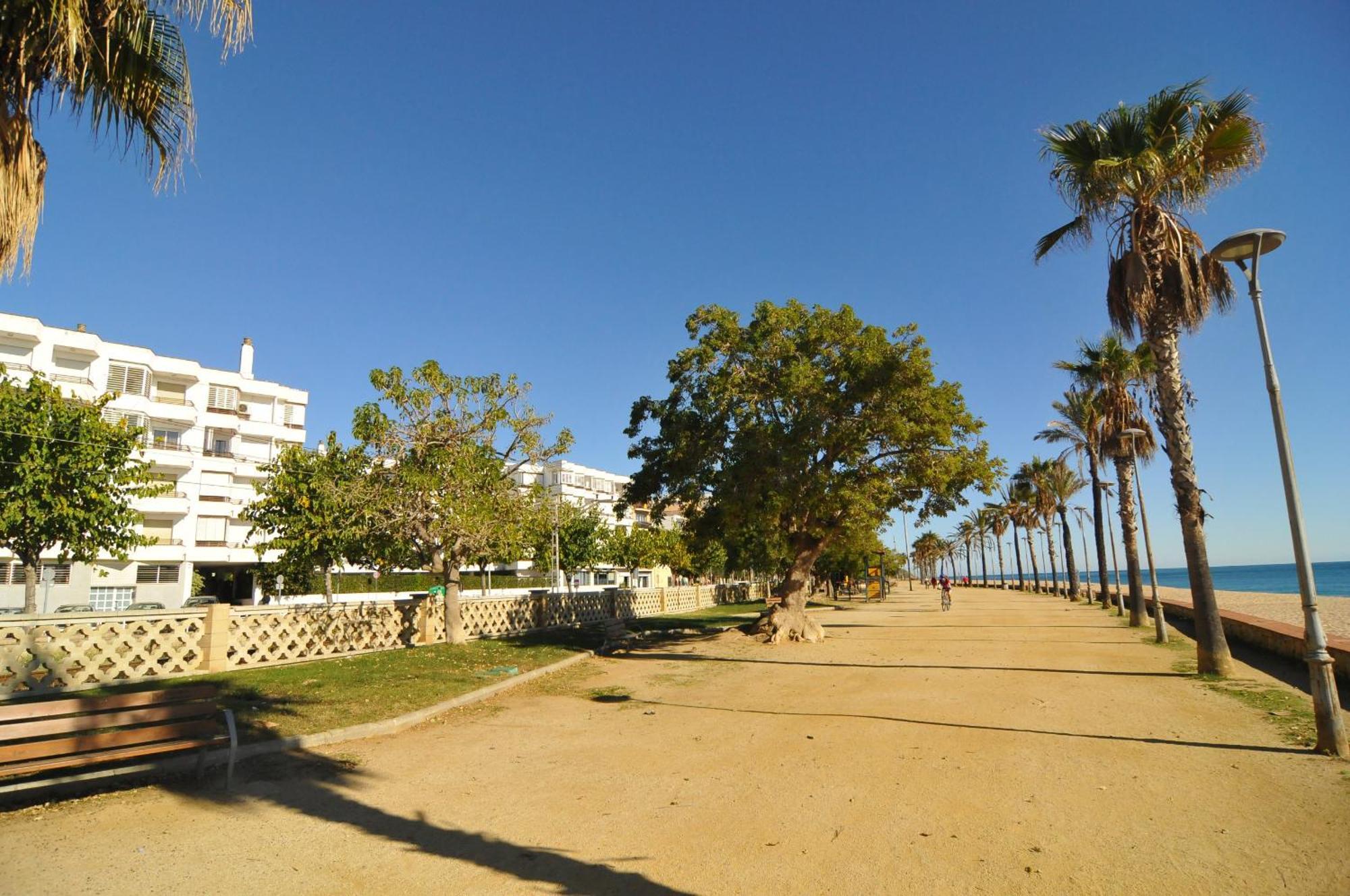 Homeholidaysrentals Palm Beach - Costa Barcelona Canyet de Mar Exterior foto