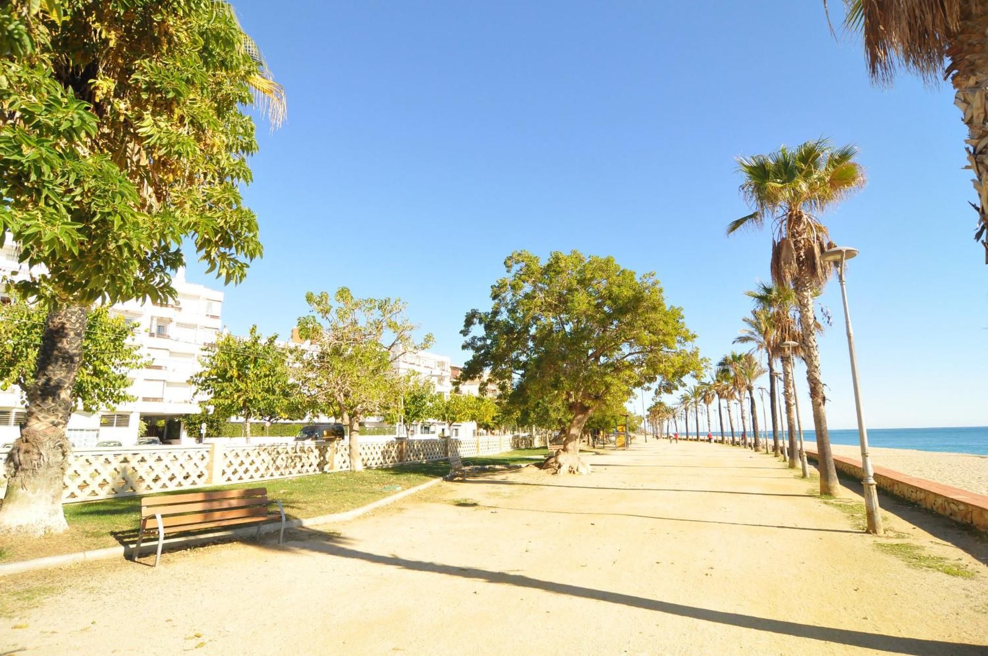 Homeholidaysrentals Palm Beach - Costa Barcelona Canyet de Mar Exterior foto